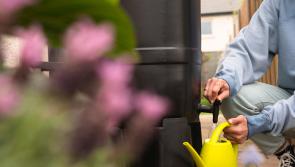 ALERT: Hosepipe ban now in effect for four counties amid 'drought' warning