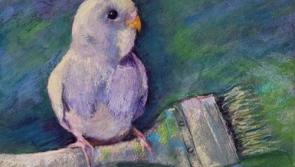 New art exhibition that focusses on 'the joy of using soft pastels' comes to Scarriff