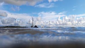 Clare exhibition on coastal landscapes marks a 'pivotal moment' in Irish history 