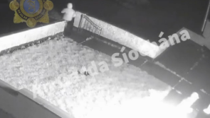 WATCH: Distressing video shows moment thugs burned house in fatal Edenderry arson attack