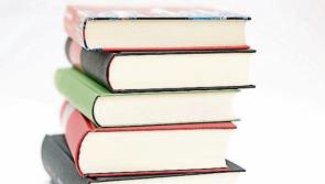 Number of Ukrainian children in Clare schools revealed