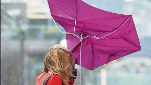 Gusts of up to 110km/h expected for Clare