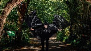 Monsters, Misfits and Mayhem to take over Bunratty Castle this Halloween