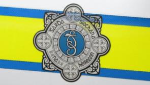 Criminal caught damaging a retail premises in Clare fled the scene