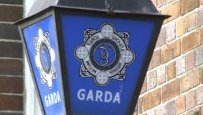 Tools and fuel stolen from shed in Clare townland