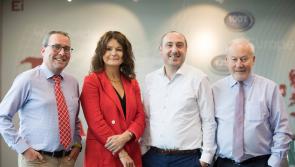 Shannon Chamber hosts LinkedIn workshop at 'lunch and learn' event