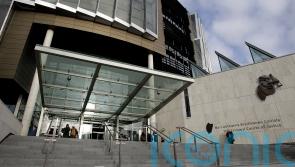 Number of murder and rape trials jumped by 57% last year