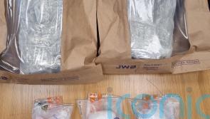 Cocaine and cannabis worth 100,000 euro seized in Co Westmeath home