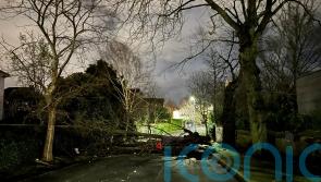 Thousands of outages across island of Ireland after damage by Storm Isha