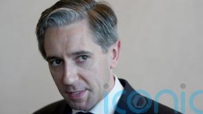 Next generation will not forgive failure to reset Anglo-Irish relations – Harris