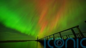 Skygazers treated to Northern Lights show – with more to come, experts say