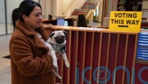 In Pictures: Voters and a pug cast their ballots in the Irish General Election