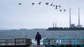 Seven counties under red wind warning as Storm Darragh hits Ireland