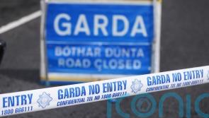 Two men in their 20s killed and two others seriously injured in crash