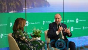 Micheal Martin says &lsquo;penny has dropped&rsquo; over need for reduction in EU regulation