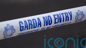 Body of woman aged in her 70s found in house fire in Limerick