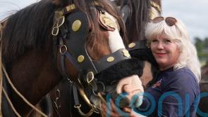Presidential candidates among thousands at Ploughing Championships