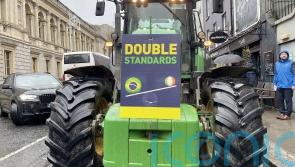 Agriculture Minister asks Irish Farmers&rsquo; Association to halt Bord Bia protest