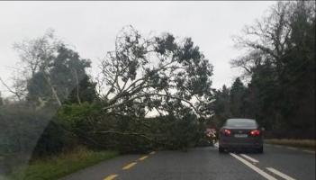 Alert: Met Eireann pinpoints when status yellow wind warning is set to hit Clare