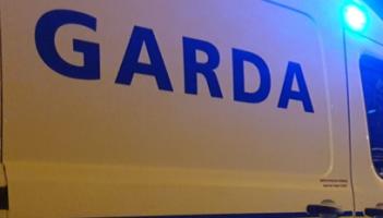 Ennis Garda&iacute; appeal for information after stolen car is found by owner following burglary