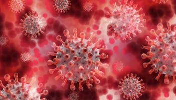 Daily increase in national Covid-19 cases revealed