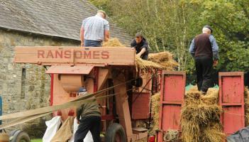 Bunratty Castle host variety of family-friendly events as part of Traditional Harvest Day