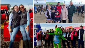 PICTURES: Crowds soak up early sun at Ploughing 2025 - have we spotted you?