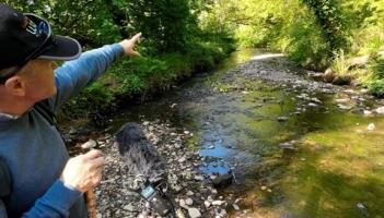 Two-day gathering for celebration of Ballymacraven River to take place in Clare