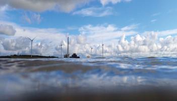 Clare exhibition on coastal landscapes marks a 'pivotal moment' in Irish history
