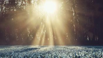 Ireland set for higher temperatures this week as Met Éireann signals major shift