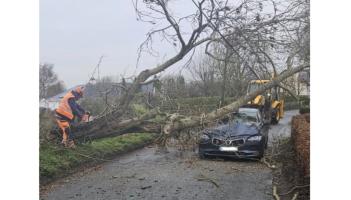 LIVE: driver has miraculous escape as tree falls on car during Storm Bram