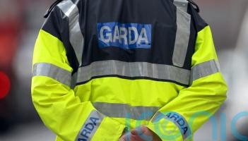 Fraud jumped in 2025 even as number of major crimes fell &ndash; gardai