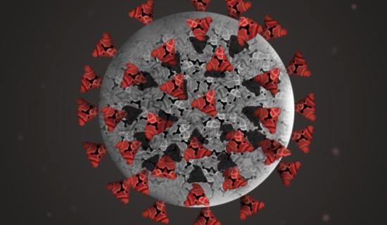 National Covid-19 daily case numbers confirmed