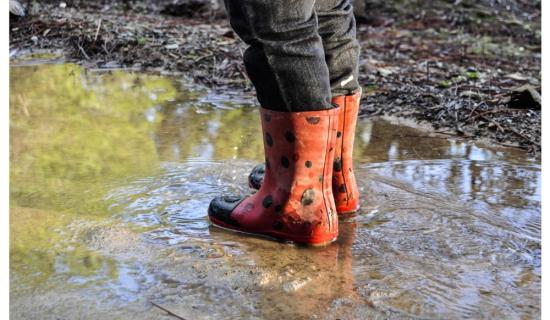 Met &Eacute;ireann pinpoints when to expect shift in weather for National Ploughing Championships