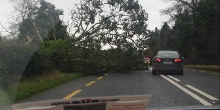 Alert: Met Eireann pinpoints when status yellow wind warning is set to hit Clare