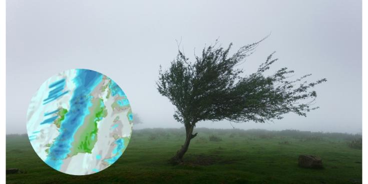 Strong gale force winds on the way as two counties hit with weather warnings