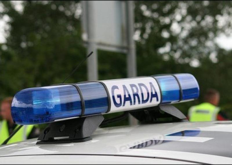 Gardaí in Shannon appeal for public's help in locating white van