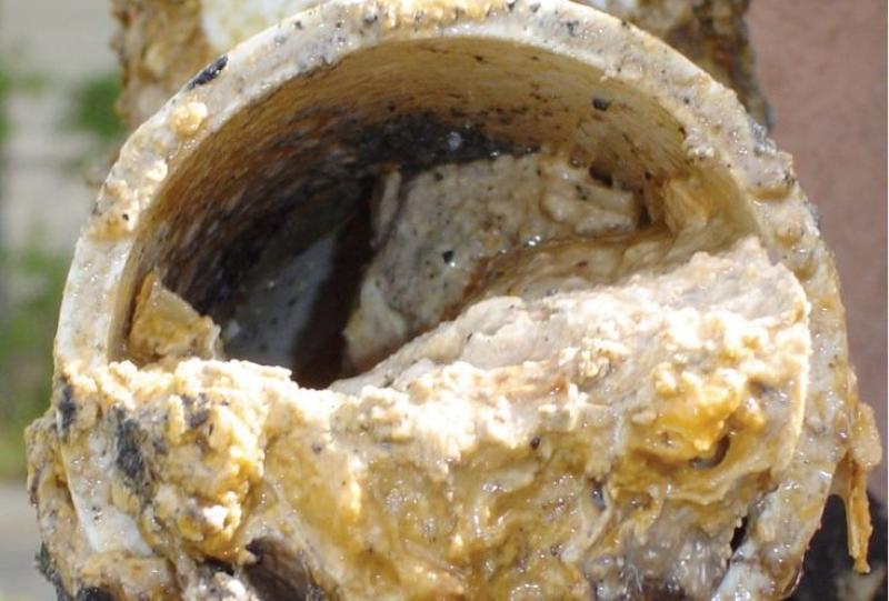 ALERT:  Irish people issued with drain warning ahead of Christmas period 