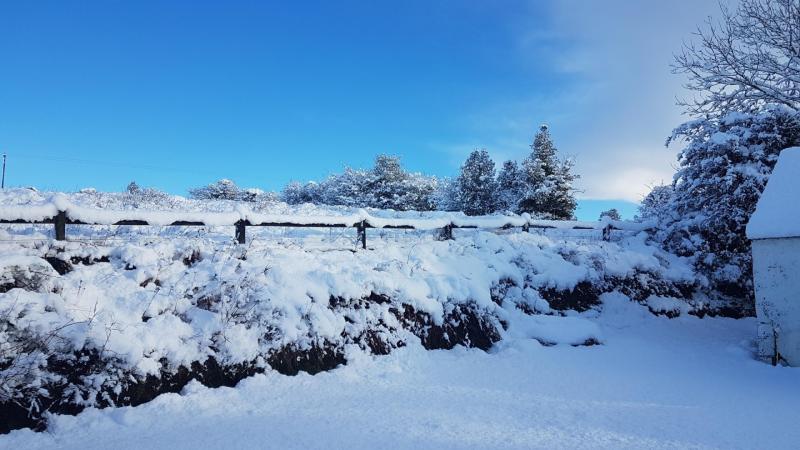 White Christmas for Ireland? Weather expert gives verdict on snow in next two weeks 
