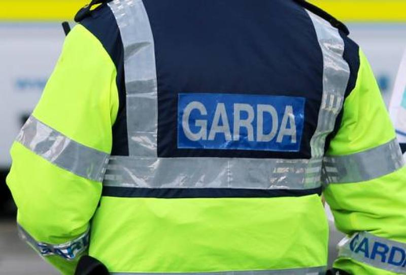 Unusual items stolen by thief from a stables on a main road in Clare