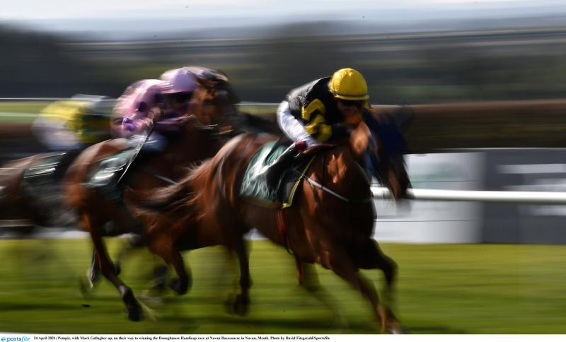 RACING: The horses worth a bet on Saturday's card at Navan
