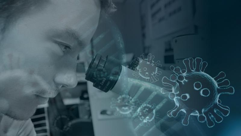 National daily Covid-19 case numbers confirmed