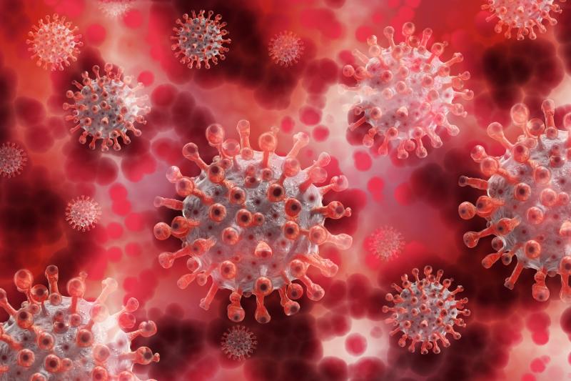 Daily increase in national Covid-19 cases revealed