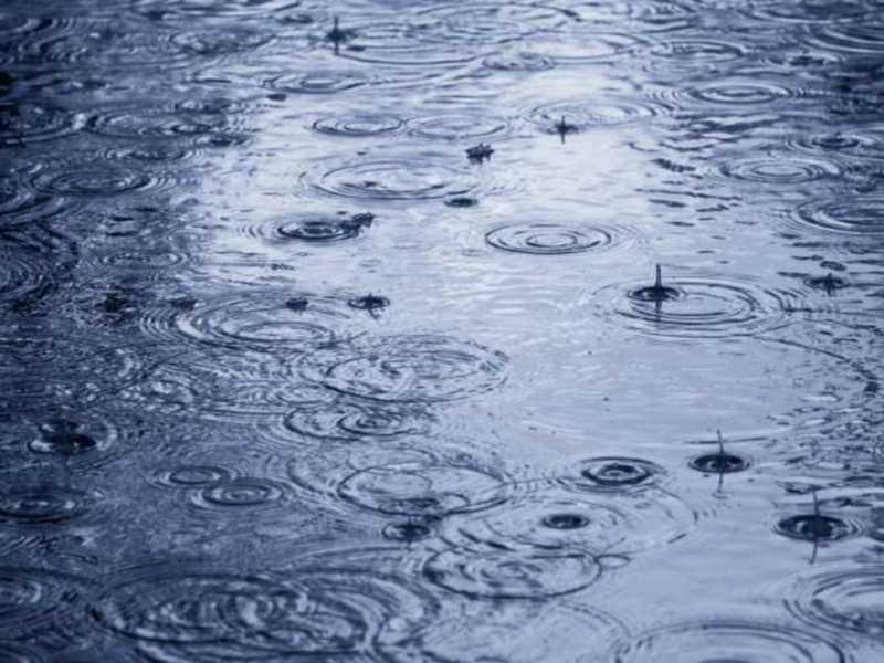 WEATHER WATCH: Get out the brollies and prepare for thundery downpours