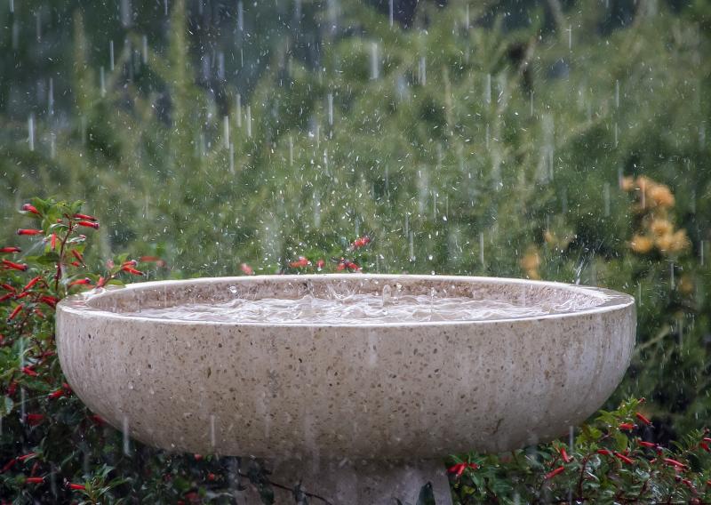 Met Éireann warns of possible disruption due to 'wet and windy' weather in Clare