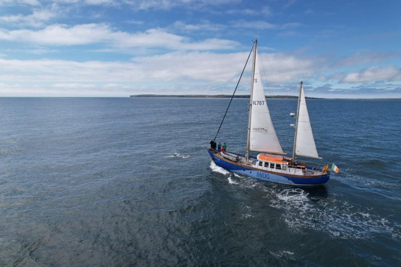 Campaign group holds free information event in Clare town