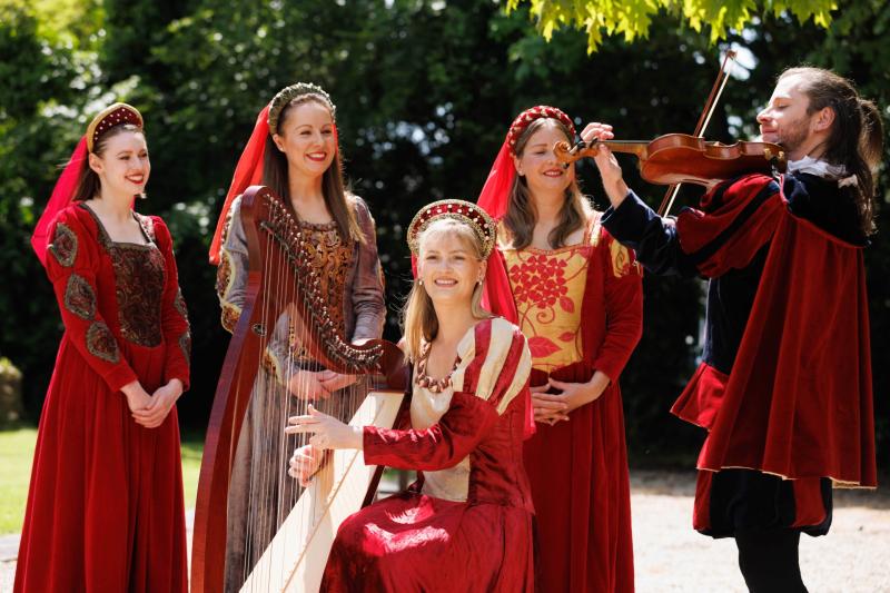 Unique Clare festival set to celebrate 'the harp'