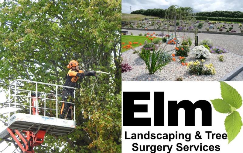 Elm Landscaping & Tree Surgery Your Local Expect In Garden Design