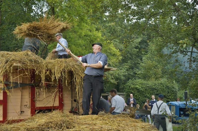Traditional Harvest Day to make long-awaited return to Bunratty