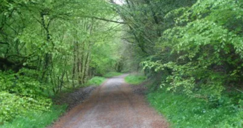 Gardaí searching for burgandy car after incident at Cratloe Woods
